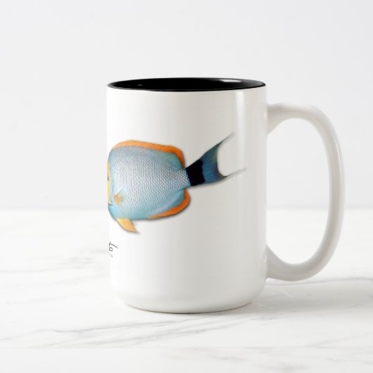 Hawaiianer verdeckter Angelfish, Genicanthus Zweifarbige Tasse (Rechts)