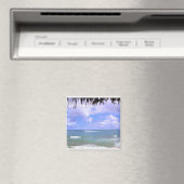 Hawaiianisch Magnet (In Situ (Geschirrspüler))