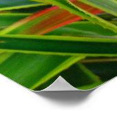 Hawaiianische Ananas Poster (Ecke)