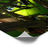 Hawaiianische Bananen- und Kokospalmen Poster (Ecke)