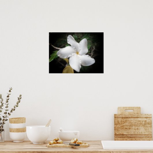 Hawaiianische Blume 2 Poster (Küche)