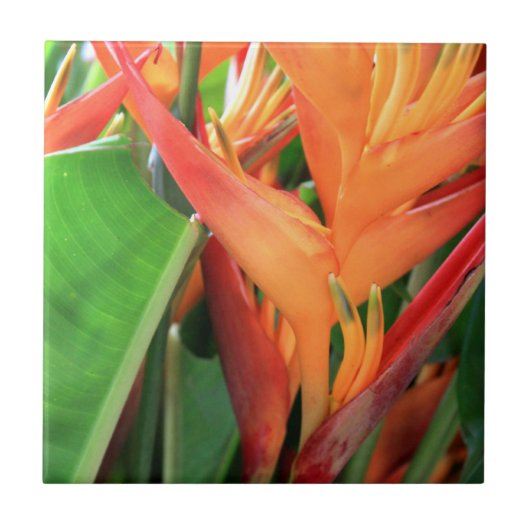 Hawaiianische Blume Keramik Hibiskus Fliese (Vorderseite)