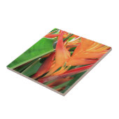 Hawaiianische Blume Keramik Hibiskus Fliese (Seite)