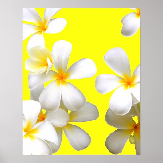 Hawaiianische Blume Poster (Vorne)