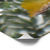 Hawaiianische Blume Poster (Ecke)