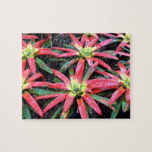 Hawaiianische Blume Puzzle