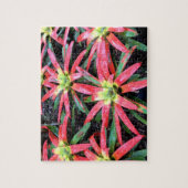 Hawaiianische Blume Puzzle (Vertikal)