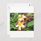 Hawaiianische Blume - schöne gelbe Blüten Postkarte (Vorne/Hinten)