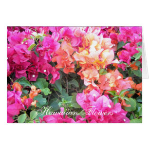 Hawaiianische Blumen