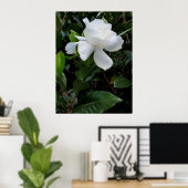 Hawaiianische Gardenie Poster (Heimbüro)