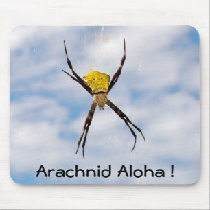 Hawaiianische Gartenspinne Mousepad