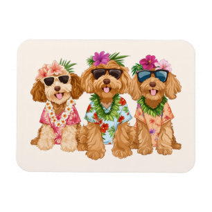 Hawaiianische Goldendoodle-Hunde Blumenlei Magnet