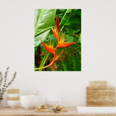 Hawaiianische Heliconia Poster (Küche)