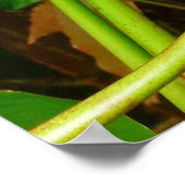 Hawaiianische Heliconia Poster (Ecke)