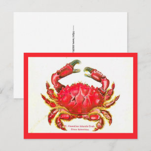 Hawaiianische Insel-Krabben-Postkarte Postkarte