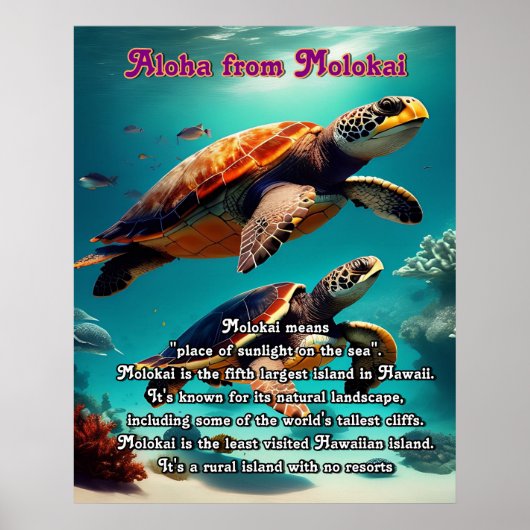Hawaiianische Inseln Molokai Aloha Poster (Vorne)