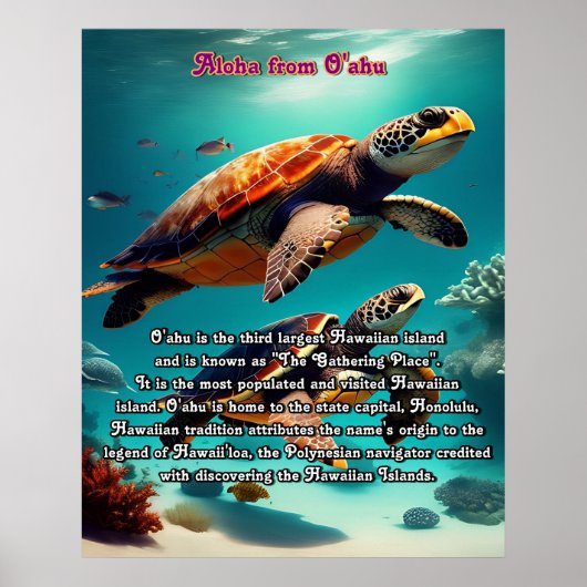 Hawaiianische Inseln Oahu Aloha Poster (Vorne)