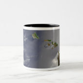 Hawaiianische Inseln Zweifarbige Tasse (Mittel)