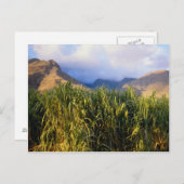 Hawaiianische Landschaft Postkarte (Vorne/Hinten)