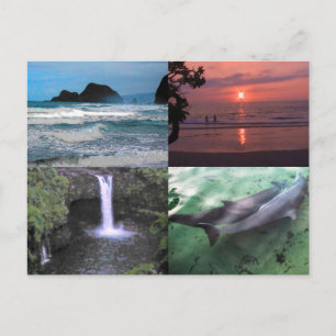 Hawaiianische Landschaft Vier Foto Aloha Hawaii Postkarte