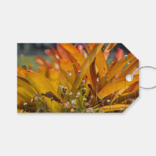 Hawaiianische Landschaftsfoto  Geschenkanhänger