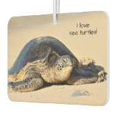 Hawaiianische Meeresschildkröte Autolufterfrischer (Links)
