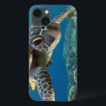 Hawaiianische Meeresschildkröte iPhone 13 Hülle<br><div class="desc">Eine hawaiianische Grauschildkröte untersucht seine Reflexion in meinem Kuppelhafen. © und ® Bigstock® - Alle Rechte vorbehalten.</div>