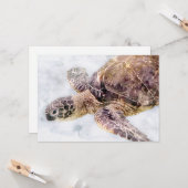 Hawaiianische Meeresschildkröte Realistisch Karte (Vorderseite/Rückseite Beispiel)