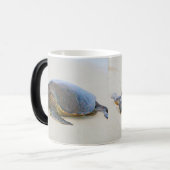 Hawaiianische Meeresschildkröte Verwandlungstasse (Vorderseite Links)