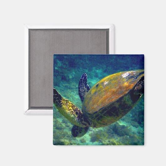 Hawaiianische Meeresschildkröten Magnet (Vorderseite/Rückseite)