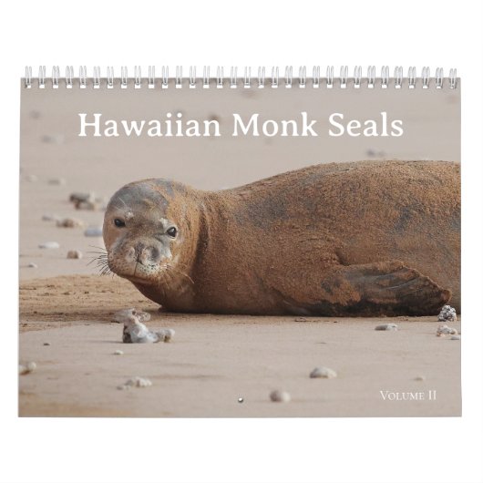 Hawaiianische Mönch-Siegel Kalender (Titelbild)