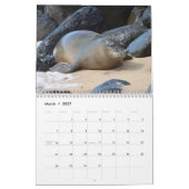 Hawaiianische Mönch-Siegel Kalender (Mär 2027)