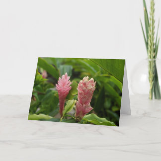 Hawaiianische Naturlandschaftsfotografie Dankeskarte