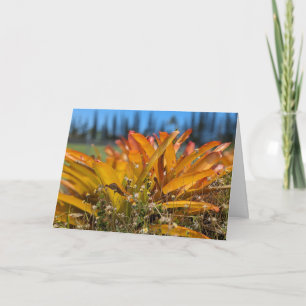Hawaiianische Naturlandschaftsfotografie Dankeskarte
