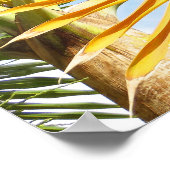 Hawaiianische Palmen Poster (Ecke)