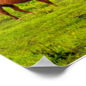 Hawaiianische Pferde, Hokulei Peak, Kauai, Vertika Poster (Ecke)