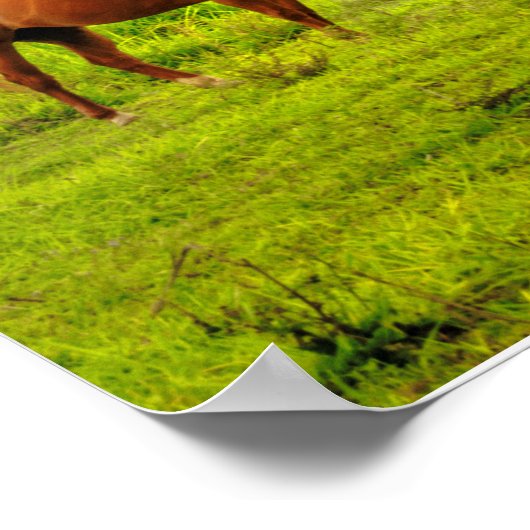 Hawaiianische Pferde, Hokulei Peak, Kauai, Vertika Poster (Ecke)