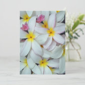 Hawaiianische Plumeria (Stehend Vorderseite)