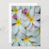 Hawaiianische Plumeria (Vorne/Hinten)