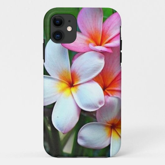 Hawaiianische Plumeria Blume Case-Mate iPhone Hülle (Rückseite)
