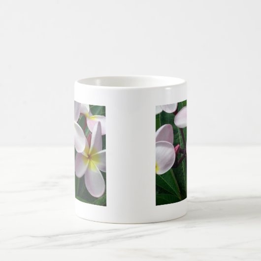 Hawaiianische Plumeria Blume Kaffeetasse (Mittel)