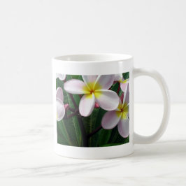 Hawaiianische Plumeria Blume Kaffeetasse