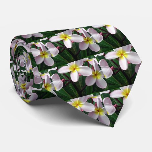 Hawaiianische Plumeria Blume Krawatte (Gerollt)