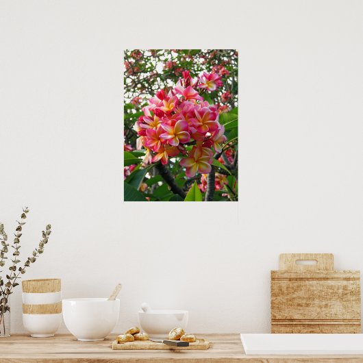 Hawaiianische Plumeria Poster (Küche)