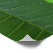 Hawaiianische Plumeria Poster (Ecke)