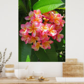 Hawaiianische Plumeria Poster (Küche)