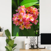 Hawaiianische Plumeria Poster (Heimbüro)
