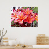 Hawaiianische Plumeria Poster (Küche)