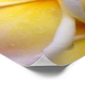 Hawaiianische Plumeria Poster (Ecke)