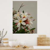 Hawaiianische Plumeria Poster (Küche)